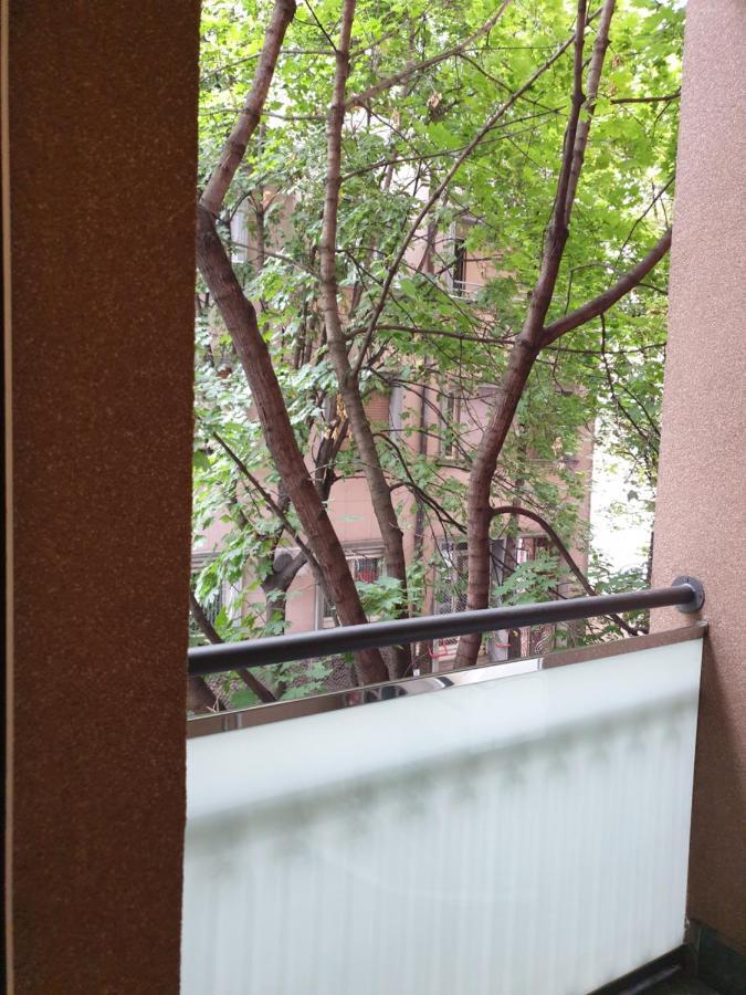 Metropol Lux Apartment Belgrade Vracar Εξωτερικό φωτογραφία
